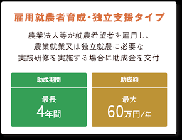 超雇用推進助成金