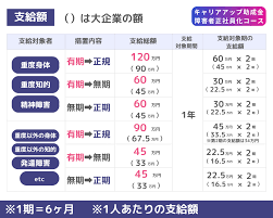 キャリアアップ助成金 正社員化コース