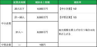 事業再構築補助金　成長枠
