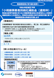 小規模事業者持続化補助金,個人事業主