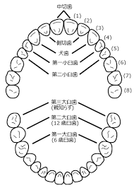 子供 歯科矯正 補助金
