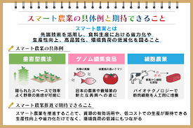 女性 農業 補助金