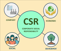 成長加速化補助金