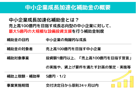 成長加速化補助金