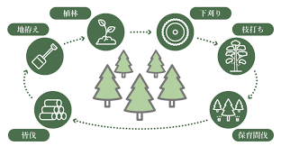 保育間伐.png