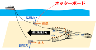 トロール漁.png