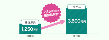 追加給付78.png