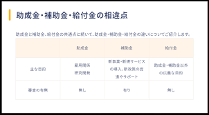 補助金との違い１２.png