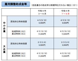 雇用 調整 助成 金 と は