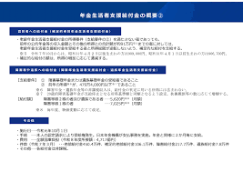 年金 上乗せ 給付 金