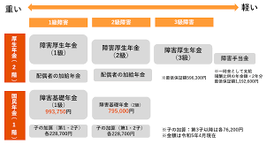 年金 上乗せ 給付 金