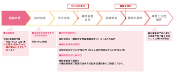 新事業進出補助金　実地検査