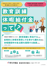 新事業進出補助金　実地検査