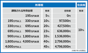 新事業進出補助金　実地検査