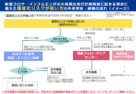 厚生労働省｜インフルエンザ2121.png